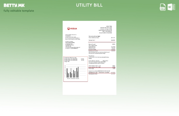 модерен стил Чешка Veolia Energy Чешка шаблон за сметки за енергетски комунални 